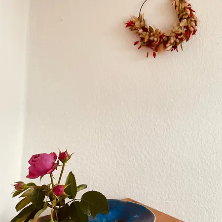 Odw Homes - Gemuetliche Weinheim