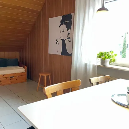 Odw Homes - 3Room Apartment For Workers With Washing Maschine, Parking Space And Wifi Apartamento Weinheim