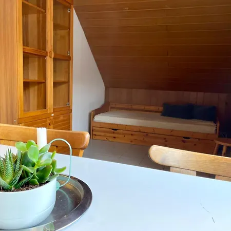 Apartamento Odw Homes - 3Room Apartment For Workers With Washing Maschine, Parking Space And Wifi